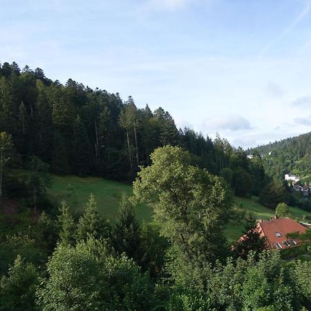Zum Schwalbennest Todtmoos Exterior foto