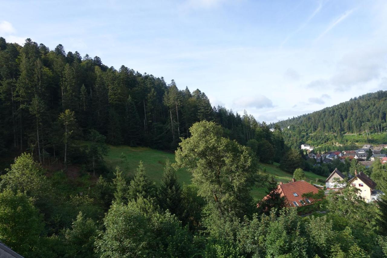 Zum Schwalbennest Todtmoos Exterior foto