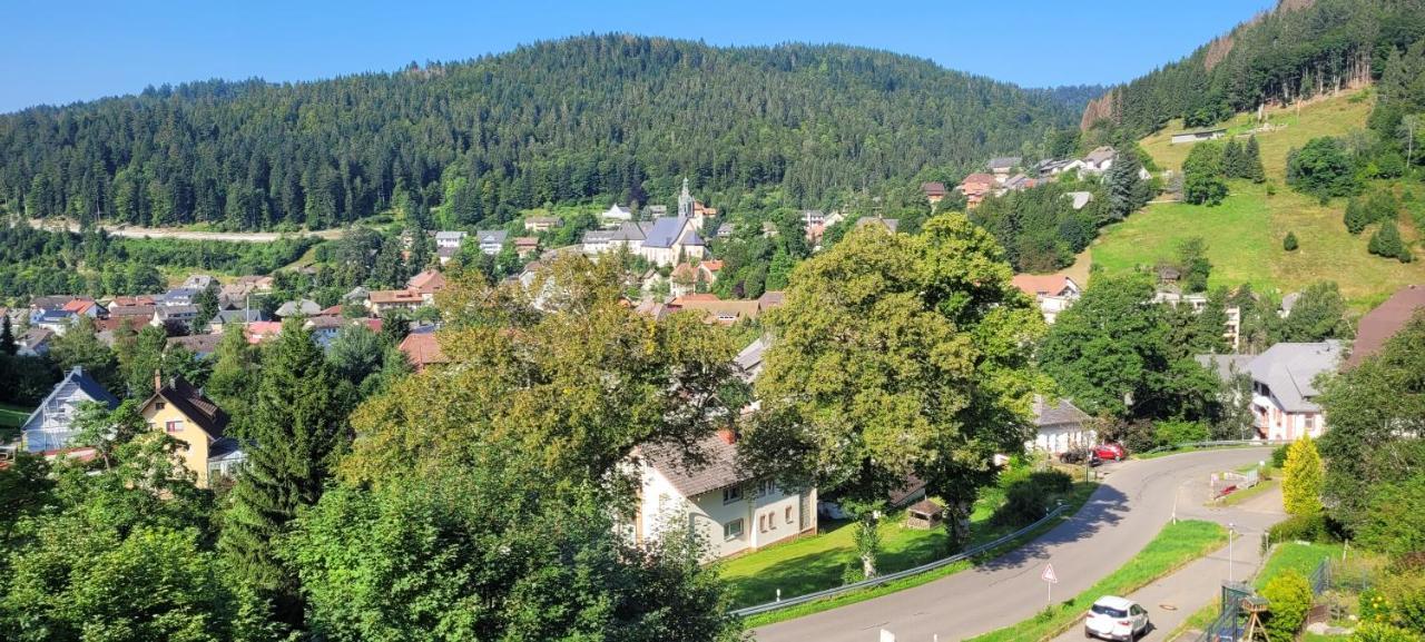Zum Schwalbennest Todtmoos Exterior foto