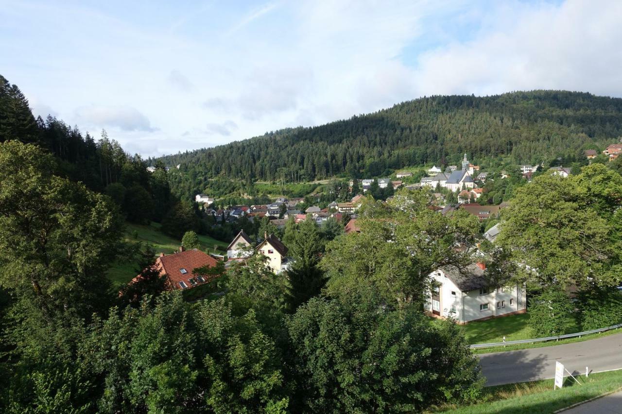 Zum Schwalbennest Todtmoos Exterior foto