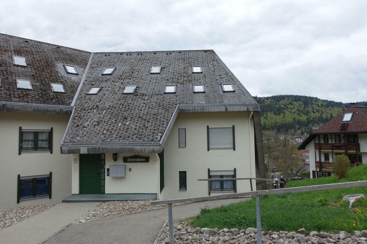 Zum Schwalbennest Todtmoos Exterior foto