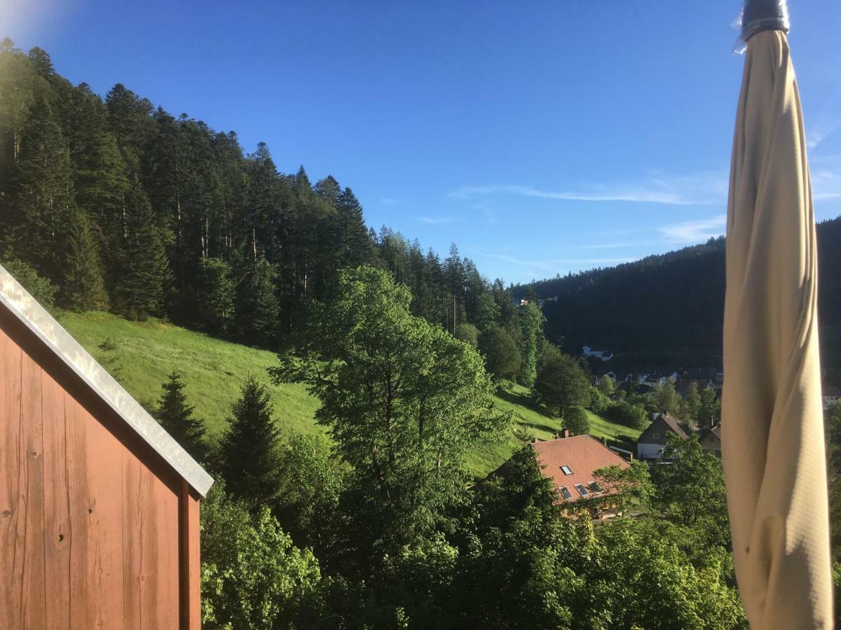 Zum Schwalbennest Todtmoos Exterior foto