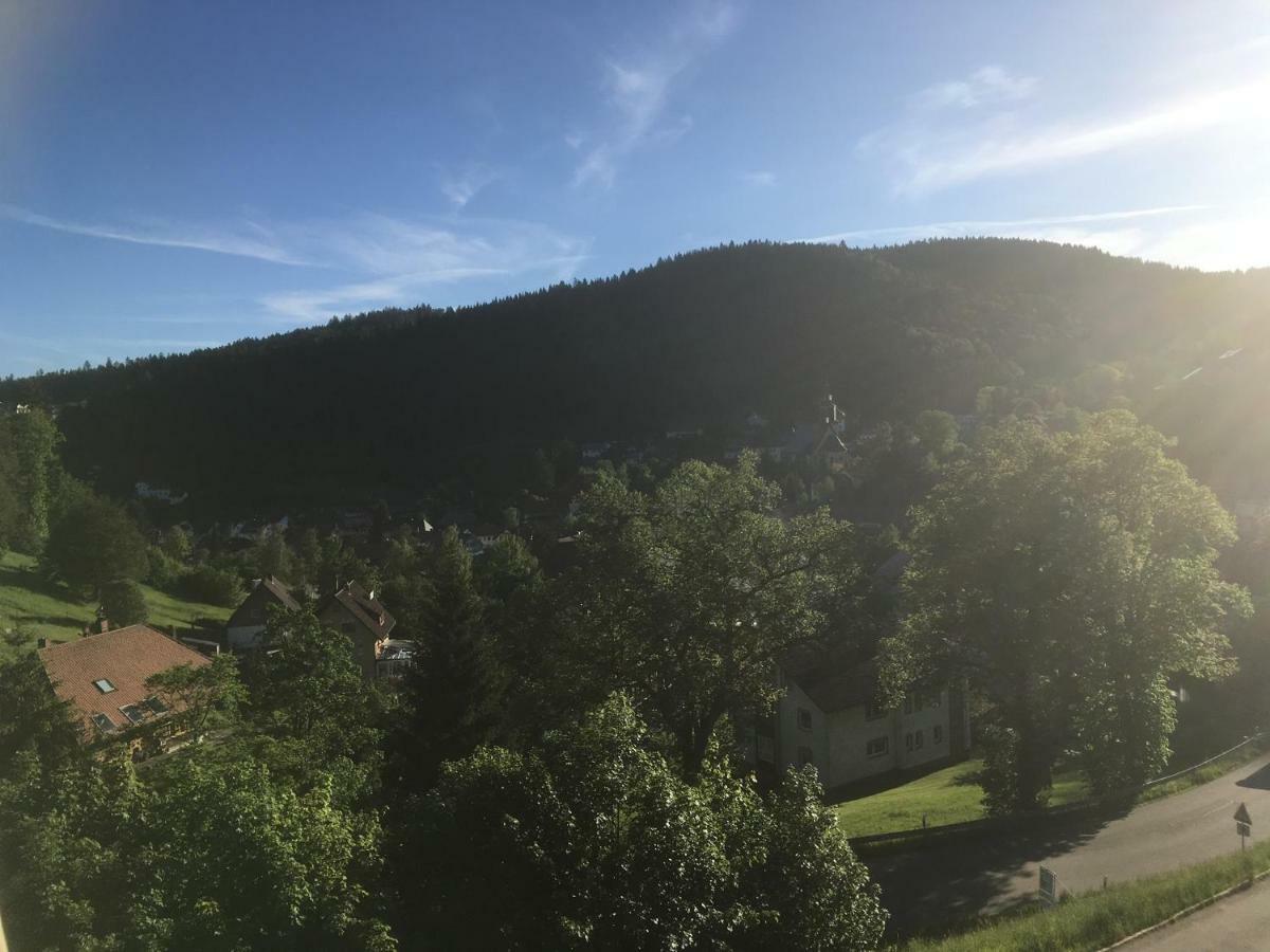 Zum Schwalbennest Todtmoos Exterior foto